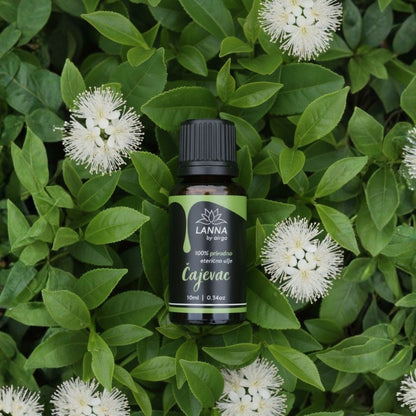 Čajevac eterično ulje